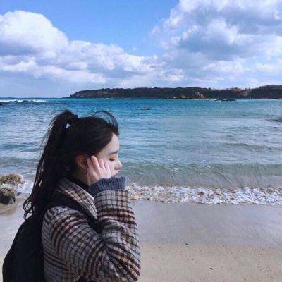 合金之战最新版